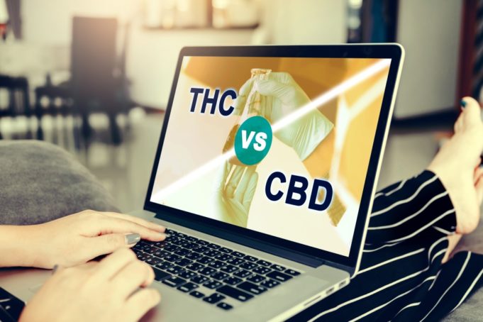 What’s the Difference Between THC and CBD? THC vs. CBD